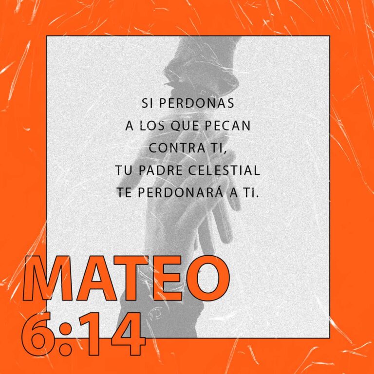 mateo 15 ntv