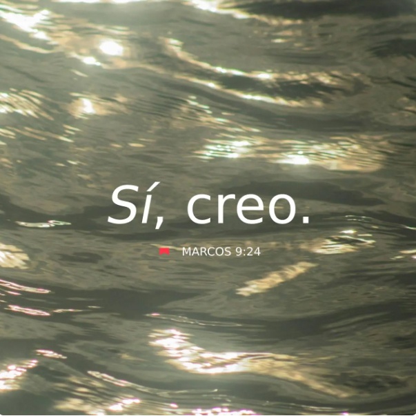 Marcos 9:24 NVI