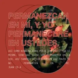 Juan 15:4-5 NVI