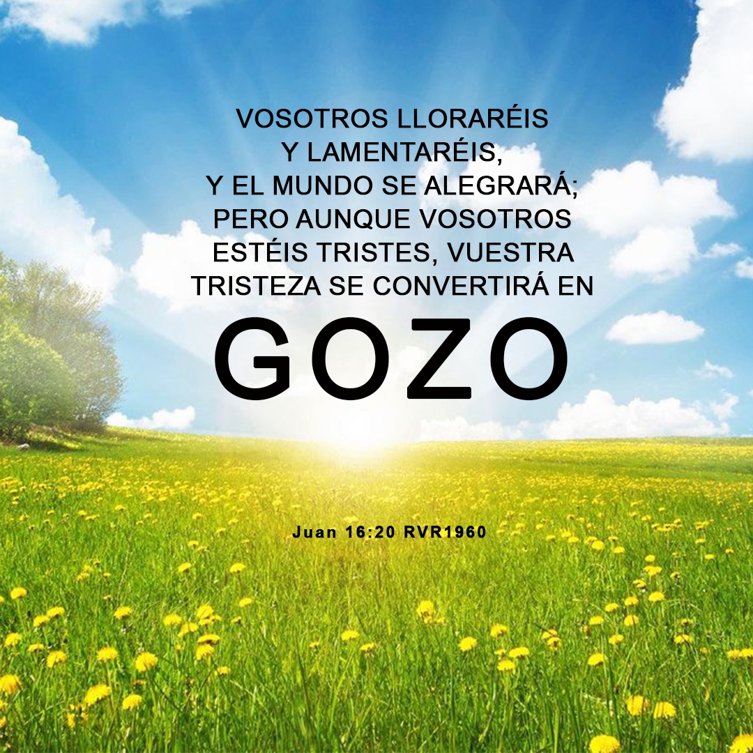 Juan 16:20 RVR1960