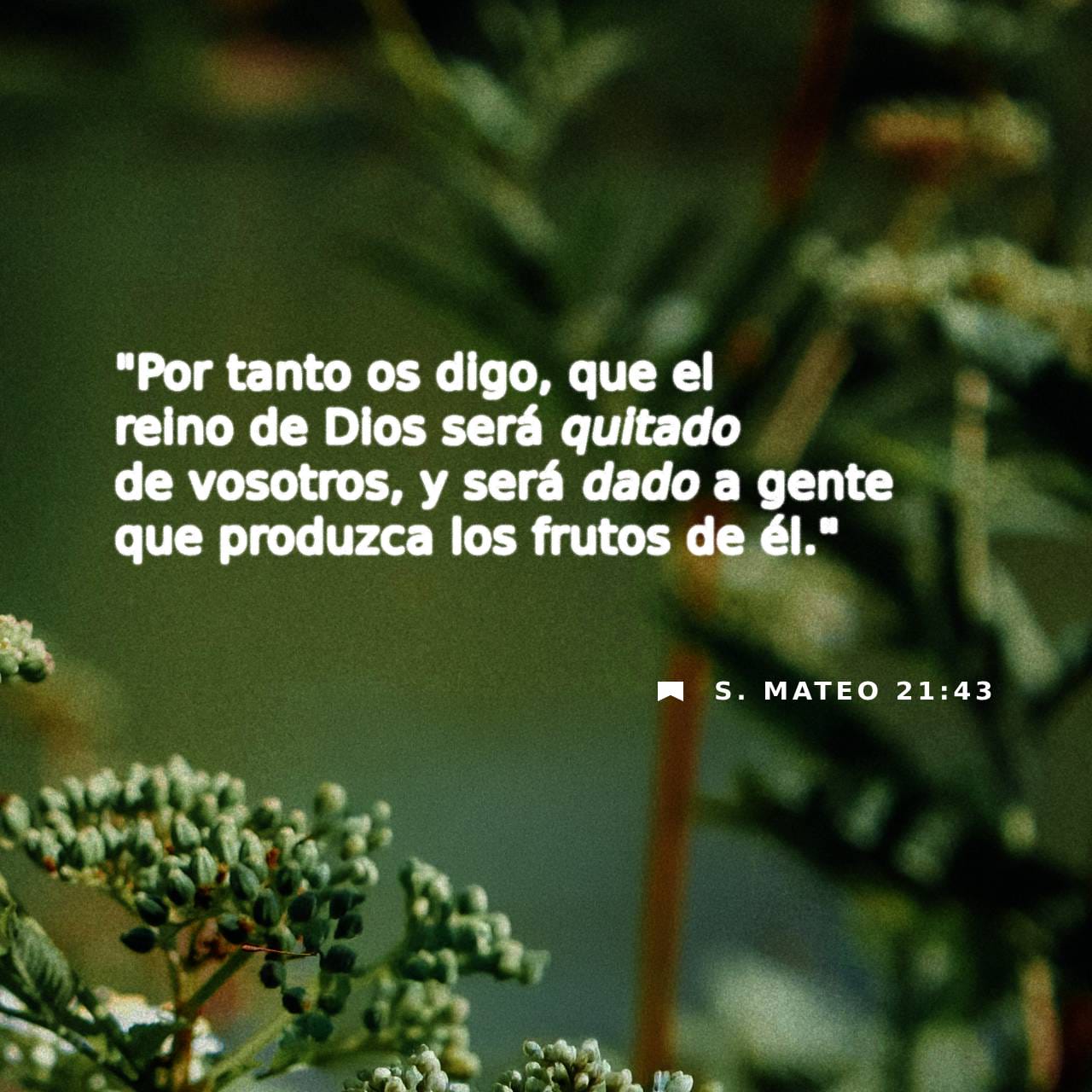 Mateo 21:43 RVR1960