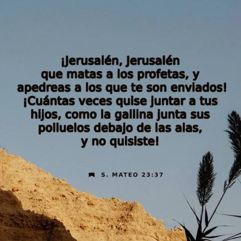 Mateo 23:37 NVI