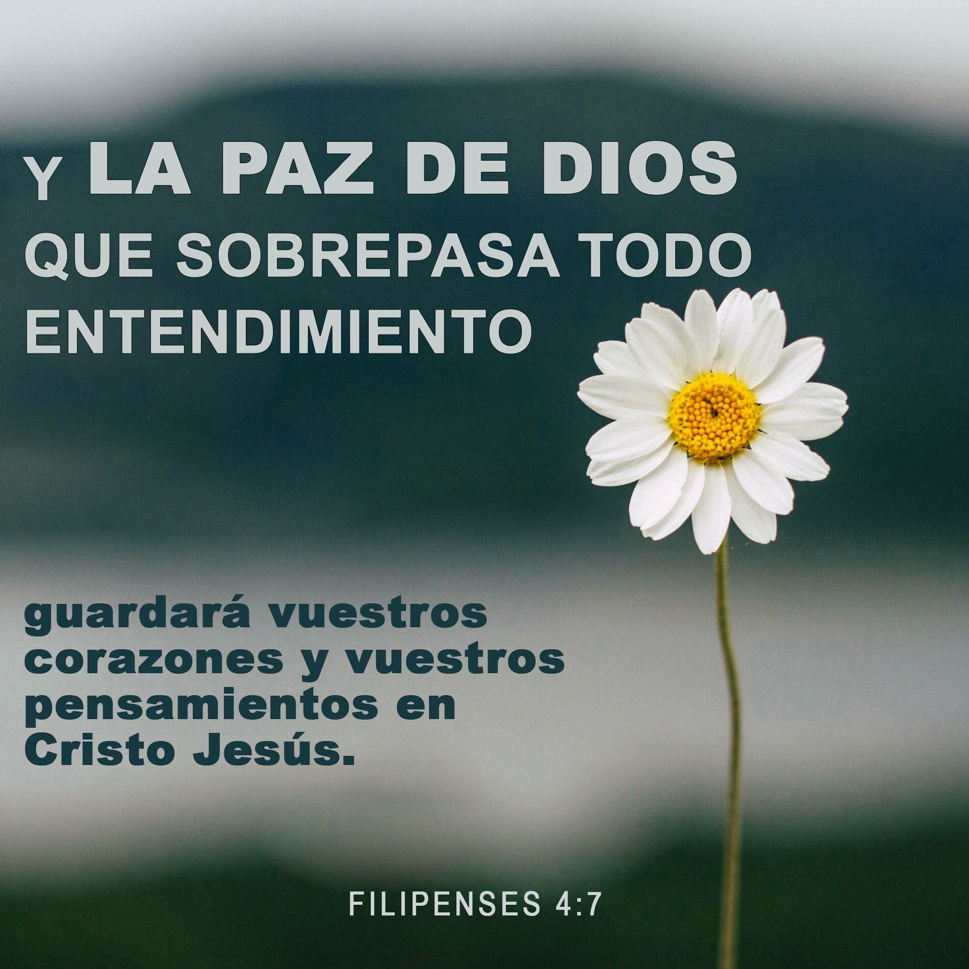 Filipenses 4:7 RVR1960