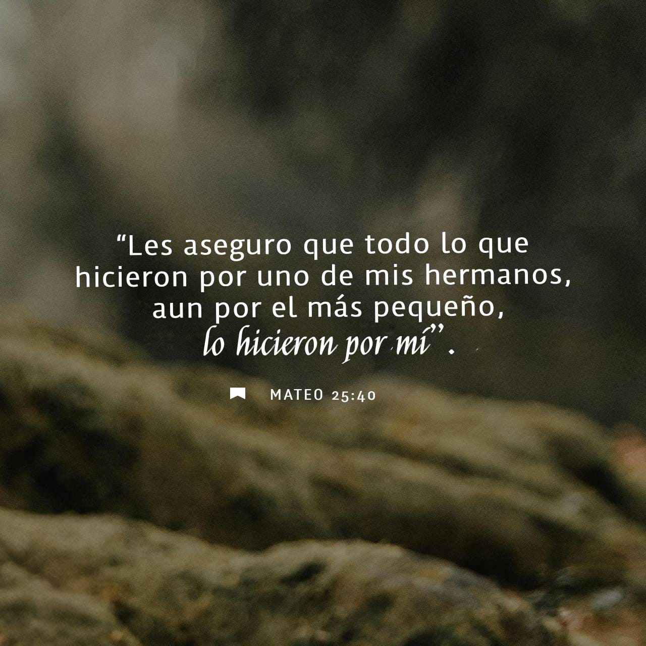 Mateo 25:40 NVI