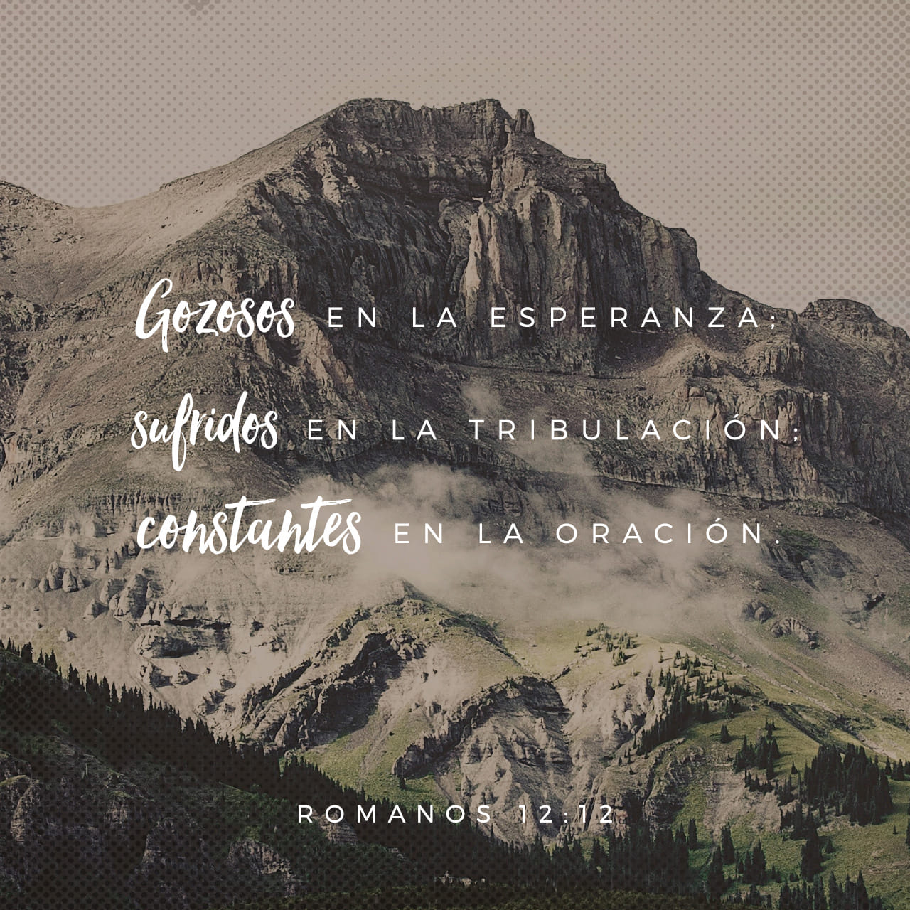 Romanos 12:12 RVR1960