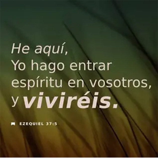 Ezequiel 37:5 RVR1960