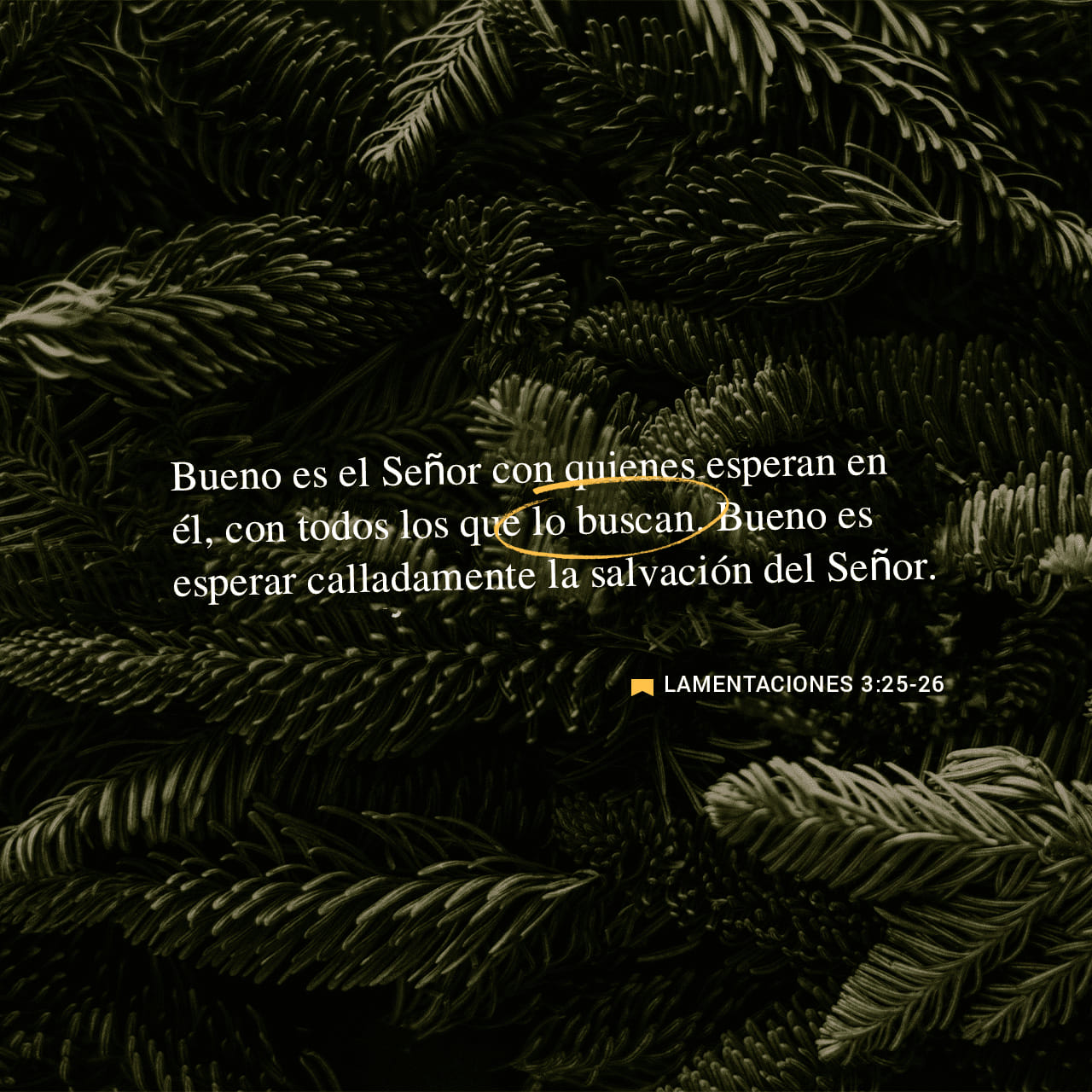 Lamentaciones 3:25-26 NVI