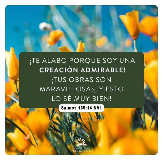 Salmos 139:14 NVI