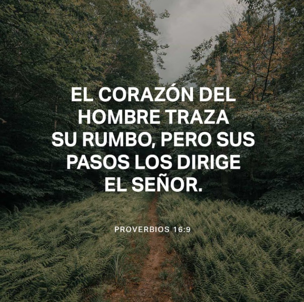 Proverbios 16:9 NVI