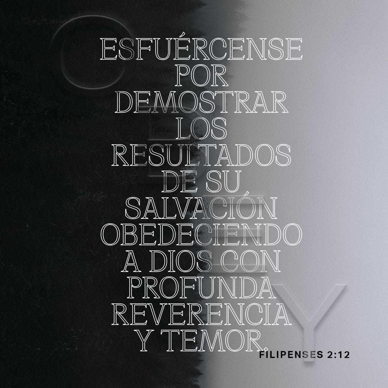 Filipenses 2:12 NTV